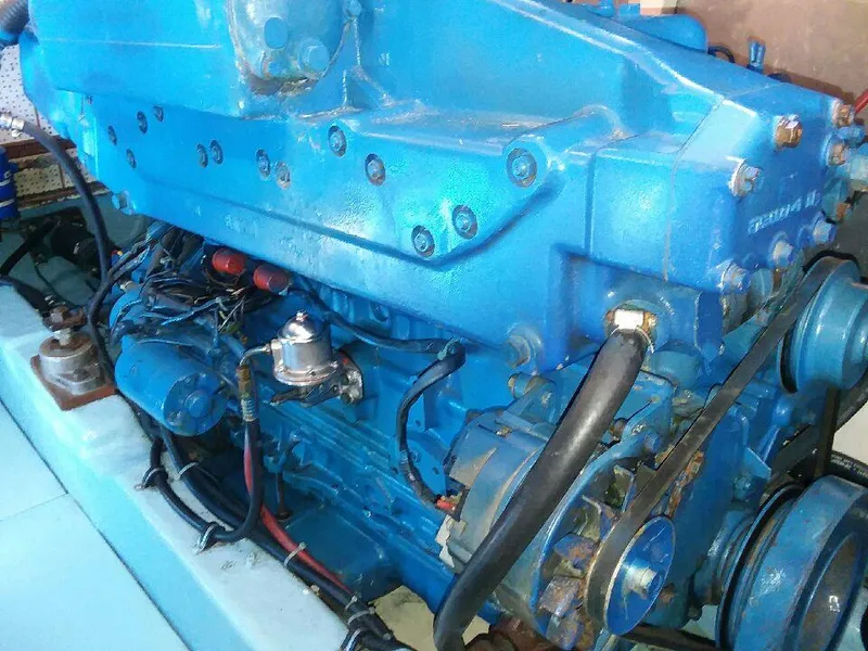 1985 Hershine 41