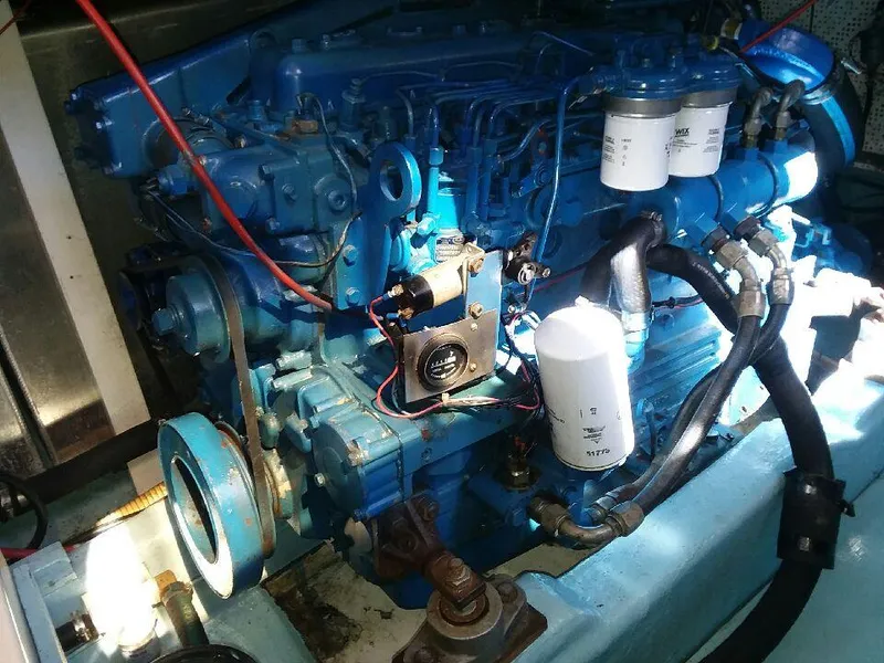 1985 Hershine 41