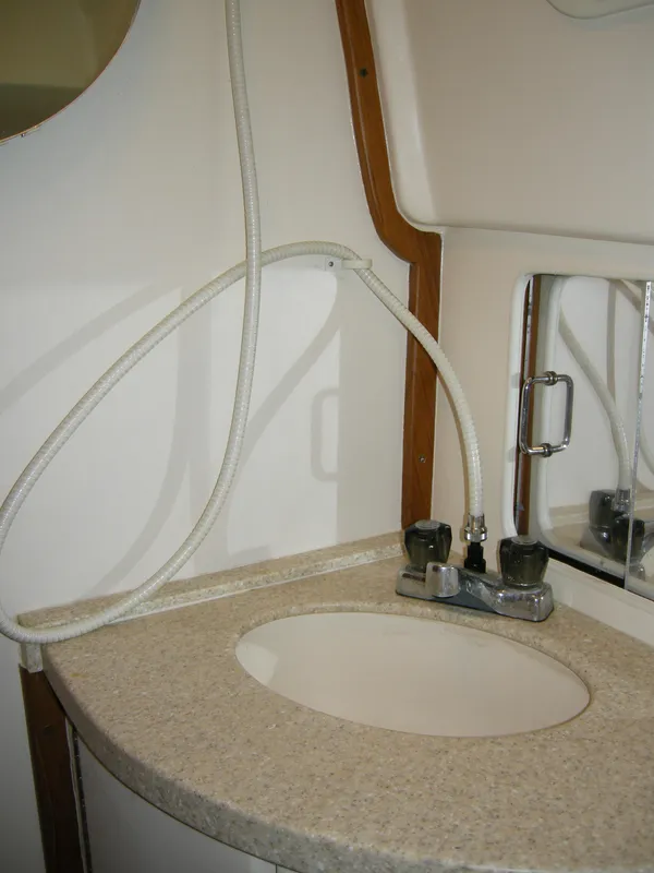 Sink-shower
