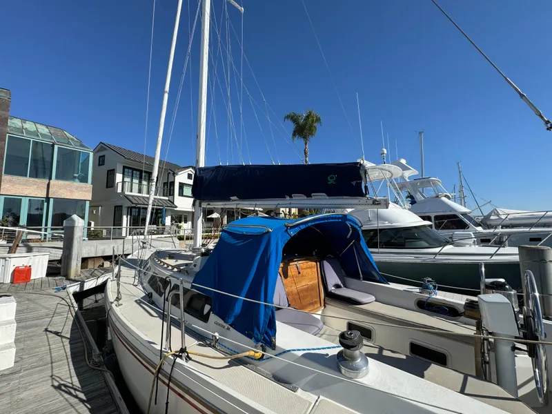 1987 Catalina 34 sailboat docked at marina, blue canopy, clear sky background.