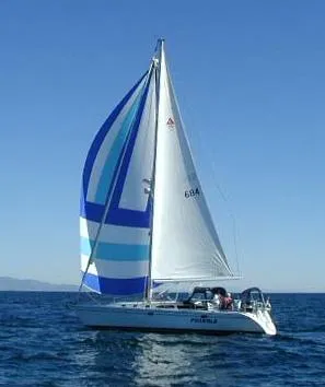 Spinnaker up