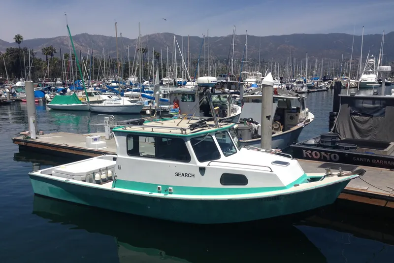 Looking Right at Home in the Harbor