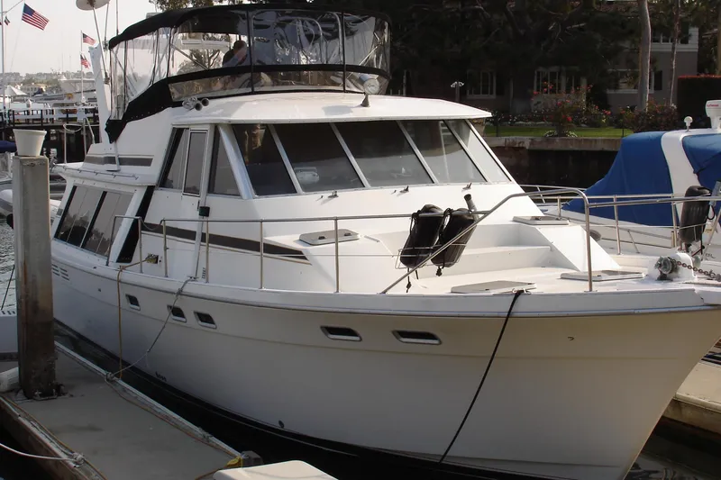 Bow View