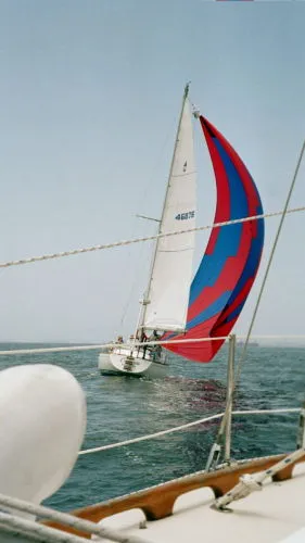 Nice Shot