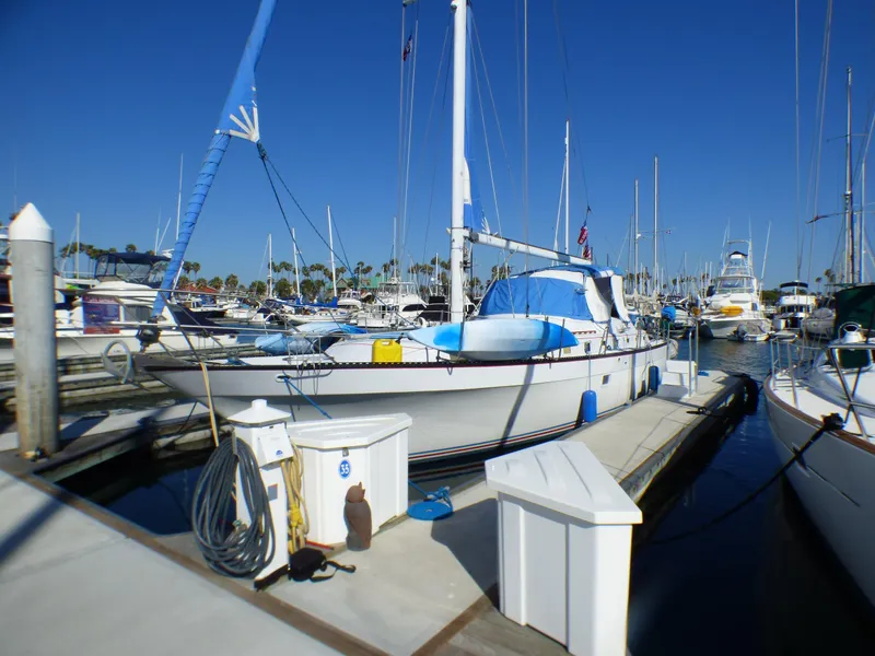Port Bow
