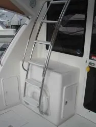 Cockpit ladder