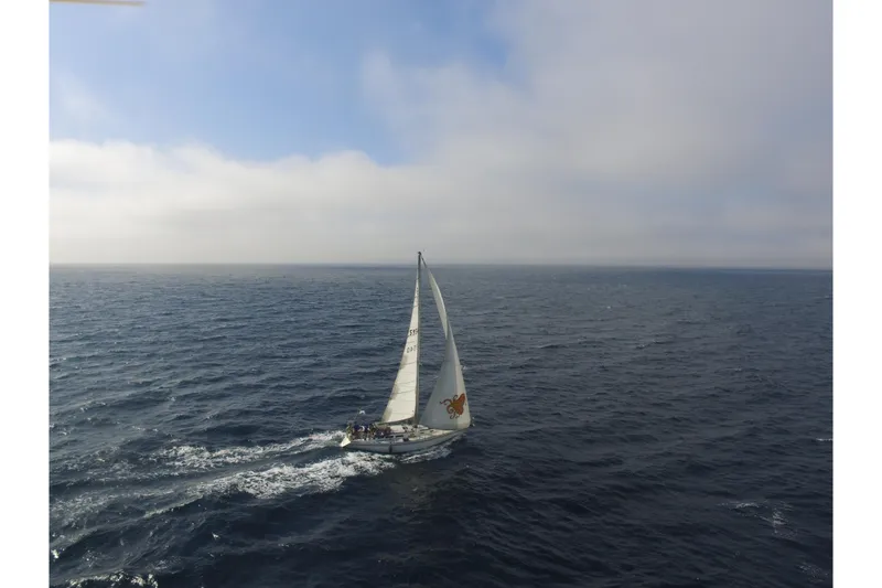 Sailboat Islander Peterson 40 (1979) navigating open sea under clear skies.