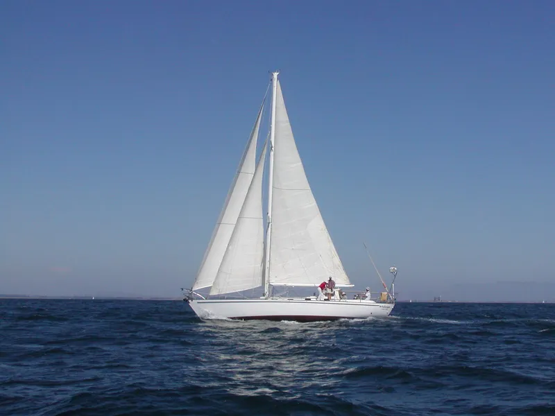 1983 Custom Wylie 45