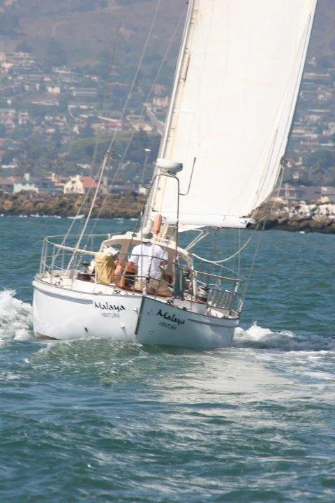 1983 Custom Wylie 45
