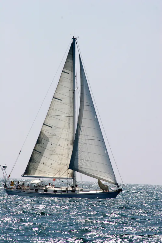 1983 Custom Wylie 45