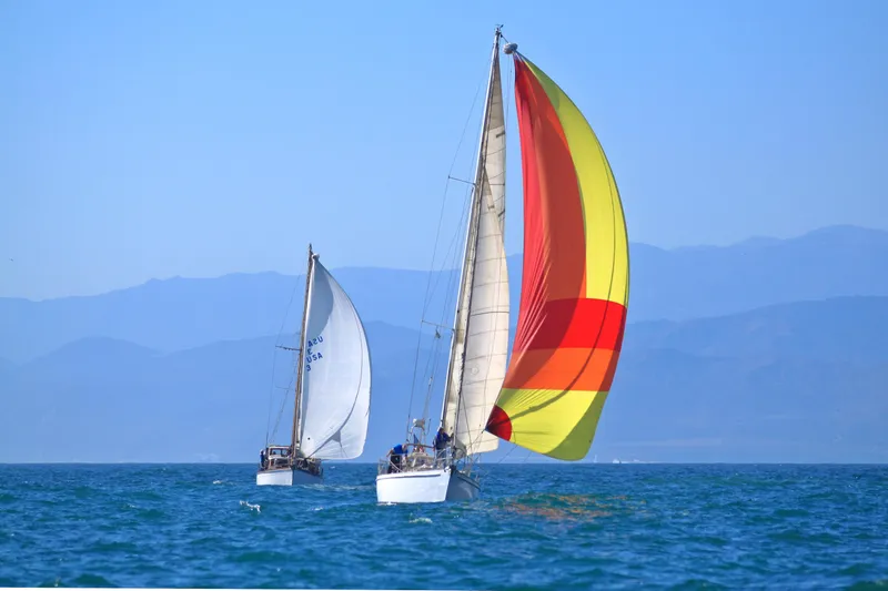 1983 Custom Wylie 45