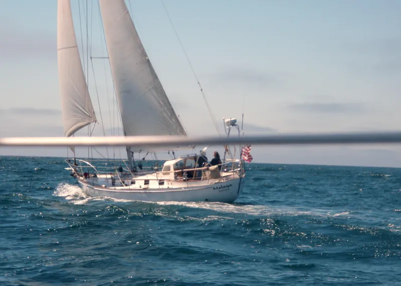 1983 Custom Wylie 45