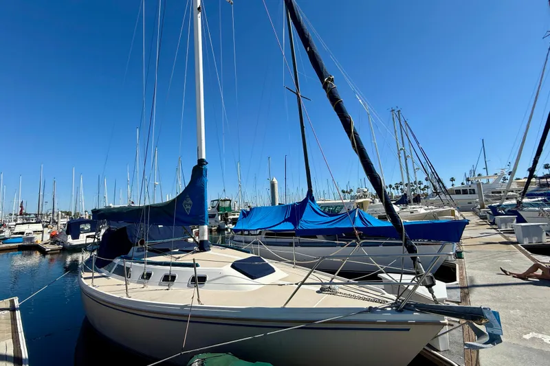 1988 Catalina 34 sailboat docked at marina under clear blue sky.