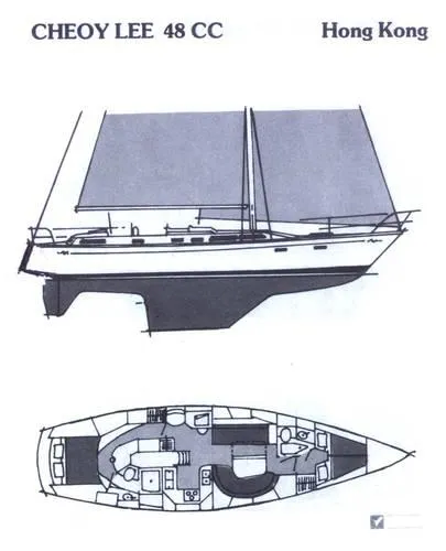 layout