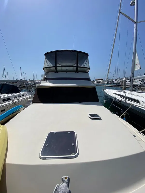 Bow View