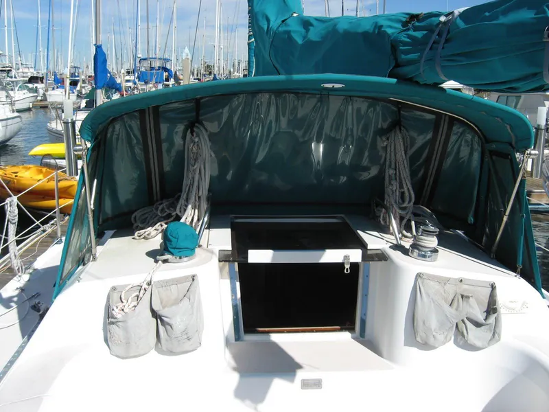 Dodger & Companionway
