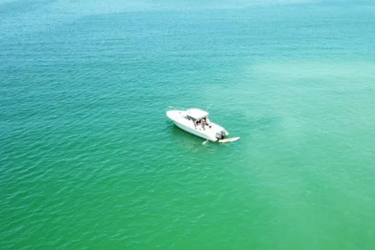 Anchored