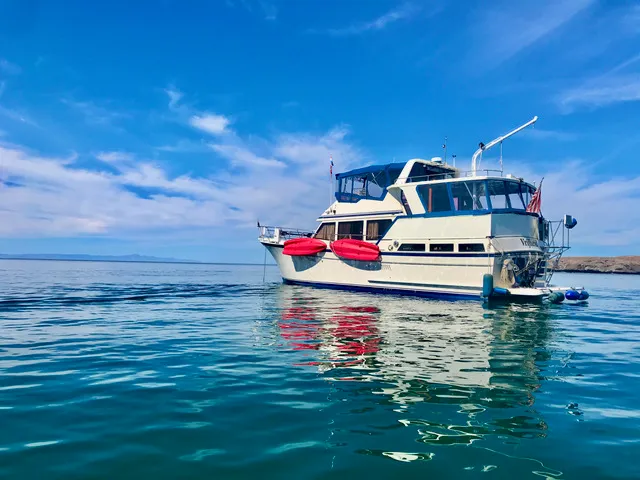 1988 Sea Ranger 46