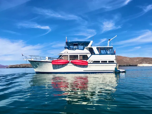 1988 Sea Ranger 46