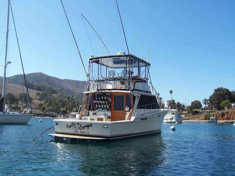 Nice quiet day in Catalina