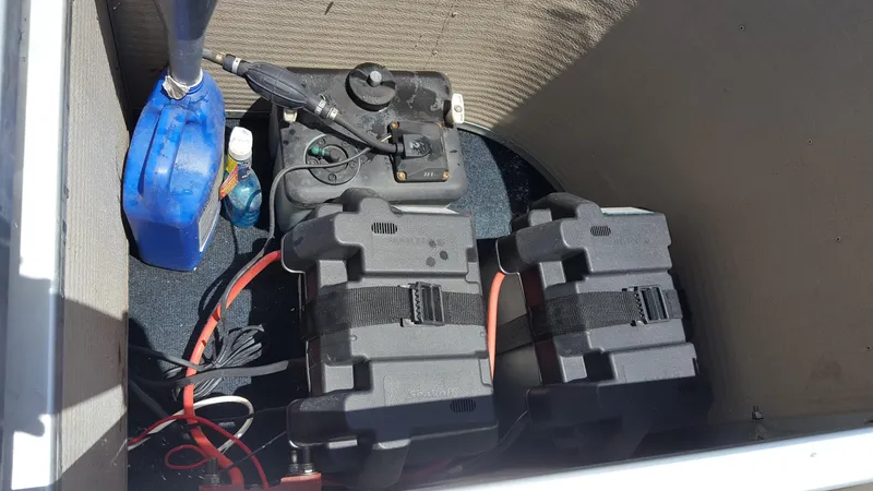 Batteries and Charger