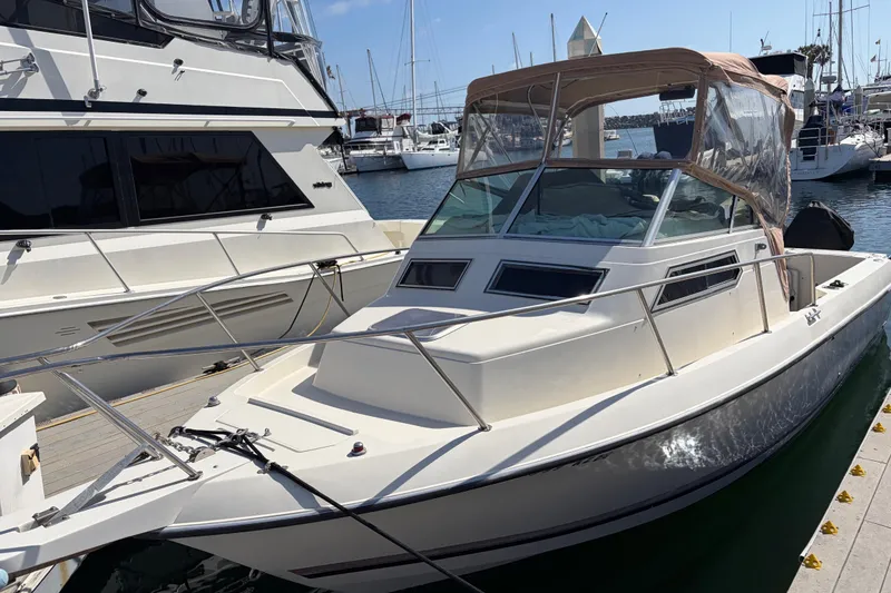 1991 Donzi 255 LXC