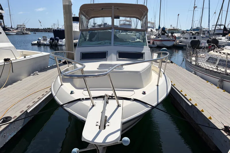 1991 Donzi 255 LXC boat docked at a marina, surrounded by other vessels.