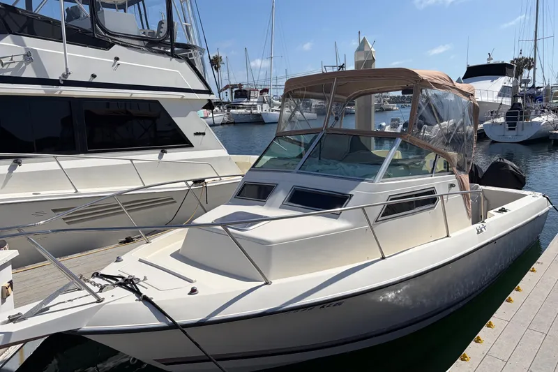 1991 Donzi 255 LXC boat docked at marina, featuring sleek design and beige canopy.