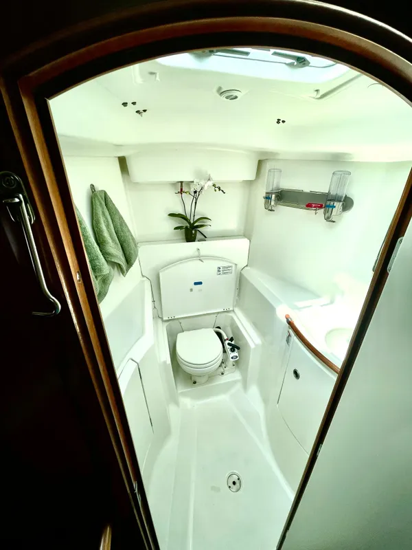 Forward head with shower