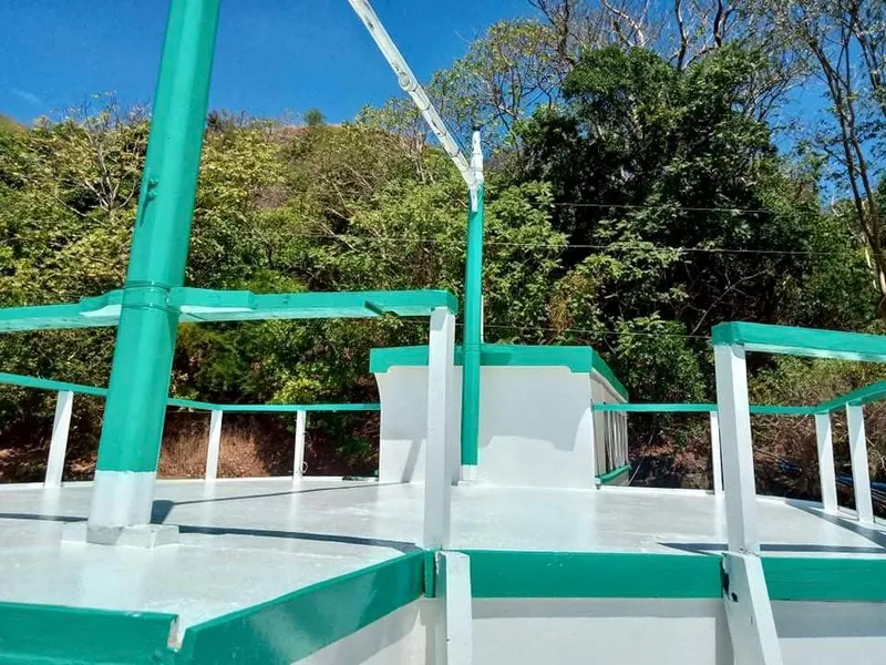 Phinisi Custom Pleasure Cruiser or Dive Boat, 2016, with green and white deck, docked near lush greenery.