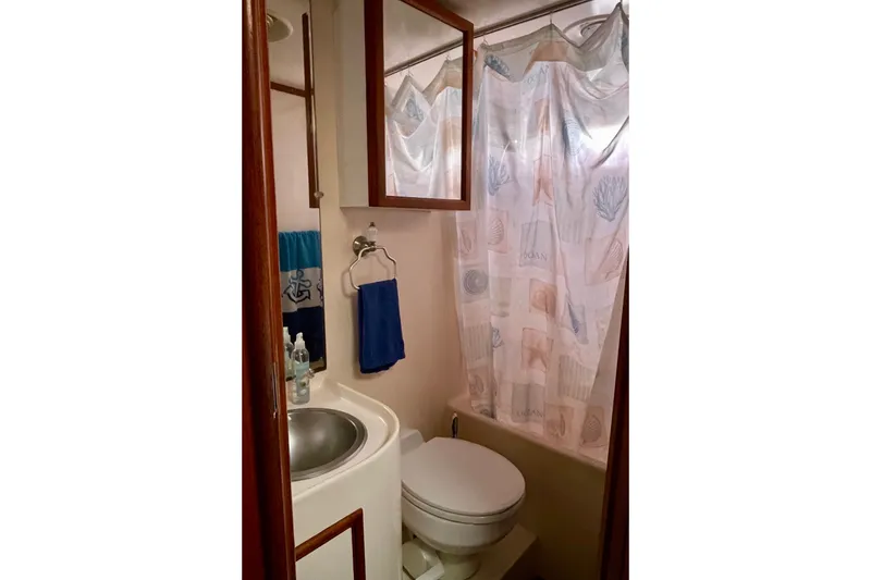 Compact bathroom in a 1985 CHB 42 boat with shower and sink.